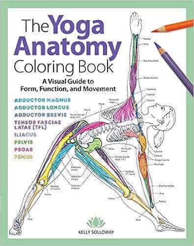 Anatomía del yoga. Libro de colorear