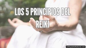 Los 5 principios del reiki