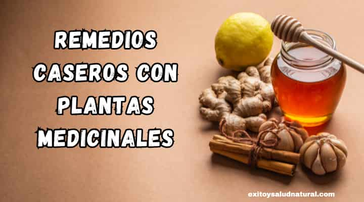 Remedios Caseros con Plantas Medicinales