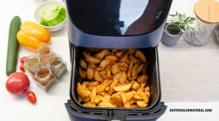 Plato saludable cocinado en Airfryer